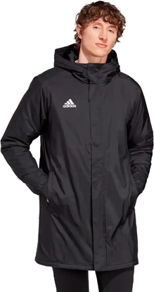 Picture of Kurtka mska Adidas Kurtka adidas ENTRADA 22 Stadium Jacket IB6076