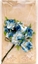 Picture of Kwiatki materiaowe niebiesko-biae 3cm 6szt