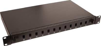 Изображение Lanview Panel krosowniczy 19" 1U 12