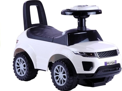 Изображение Lean Sport Jedzik 613W biay (2892)