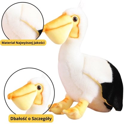 Picture of LeanToys Pluszowy Pelikan Ptak Pluszak Maskotka Przytulanka 24cm