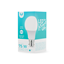 Изображение LED Bulb B22 A60 10W 230V 6000K 1060lm Forever Lig