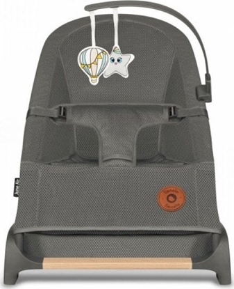 Picture of Lionelo Lionelo Leaczek bujaczek June Air Grey Graphite