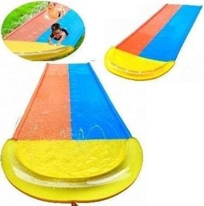 Picture of lizgawka wodna podwójna