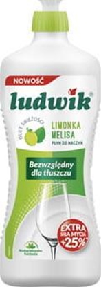 Picture of Ludwik PYN DO NACZY DUET WIEOCI LIMONKA Z MELIS 900g
