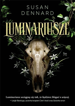 Изображение Luminariusze