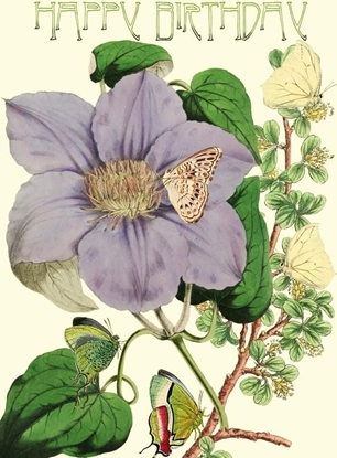 Picture of Madame Treacle Karnet B6 brokat z kopert Urodziny Powojnik