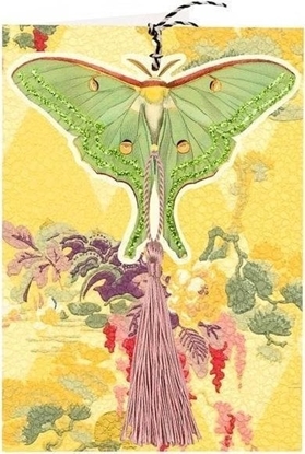 Picture of Madame Treacle Karnet B6 i zawieszka z kopert - Niebieski motyl