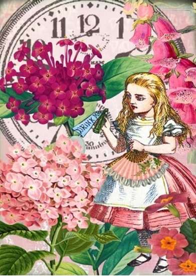 Picture of Madame Treacle Karnet B6 z kopert Alicja w krainie czarów