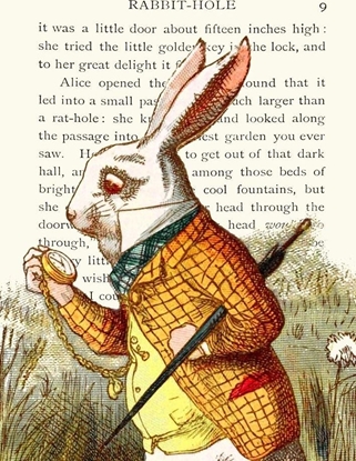 Picture of Madame Treacle Karnet B6 z kopert Alicja w krainie czarów