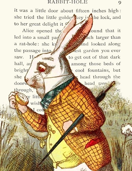 Picture of Madame Treacle Karnet B6 z kopert Alicja w krainie czarów