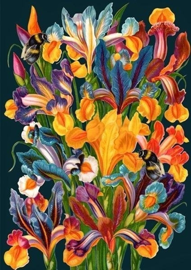 Picture of Madame Treacle Karnet B6 z kopert Irysy noc