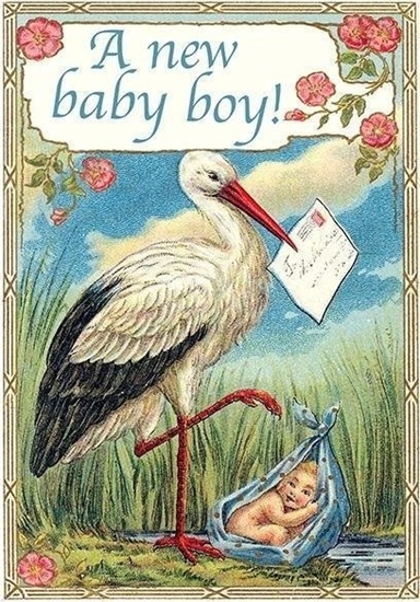 Picture of Madame Treacle Karnet B6 z kopert Narodziny Bocian Chopiec