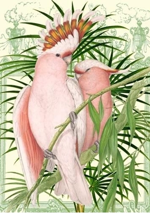 Picture of Madame Treacle Karnet B6 z kopert Róowe papugi