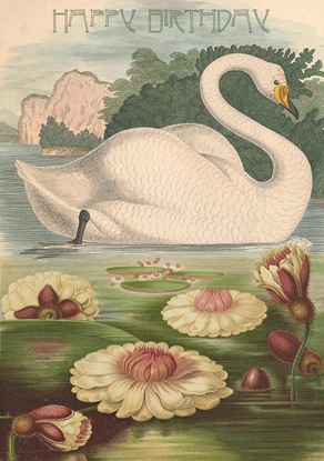 Picture of Madame Treacle Karnet B6 z kopert Urodziny abd