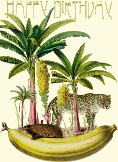 Picture of Madame Treacle Karnet B6 z kopert Urodziny Banan