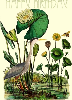 Picture of Madame Treacle Karnet B6 z kopert Urodziny Czapla