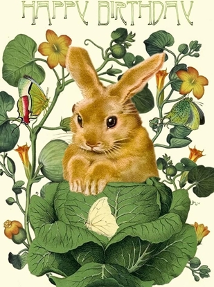 Picture of Madame Treacle Karnet B6 z kopert Urodziny Królik w kapucie