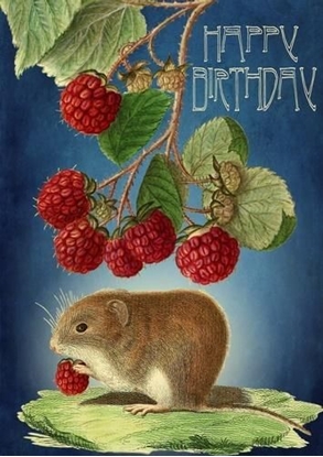 Picture of Madame Treacle Karnet B6 z kopert Urodziny Myszka