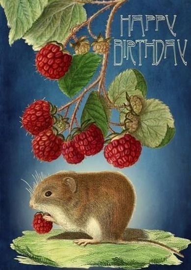 Picture of Madame Treacle Karnet B6 z kopert Urodziny Myszka