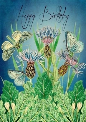 Picture of Madame Treacle Karnet B6 z kopert Urodziny Ogród