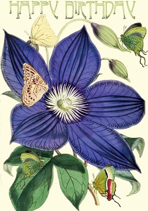 Picture of Madame Treacle Karnet B6 z kopert Urodziny Powojnik