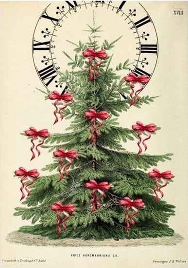 Picture of Madame Treacle Karnet B6 z kopert wita Choinka i zegar