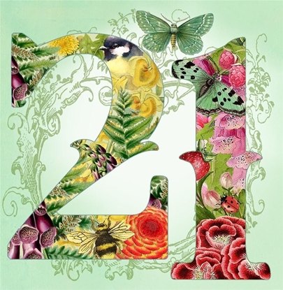 Picture of Madame Treacle Karnet kwadrat z kopert Urodziny 21