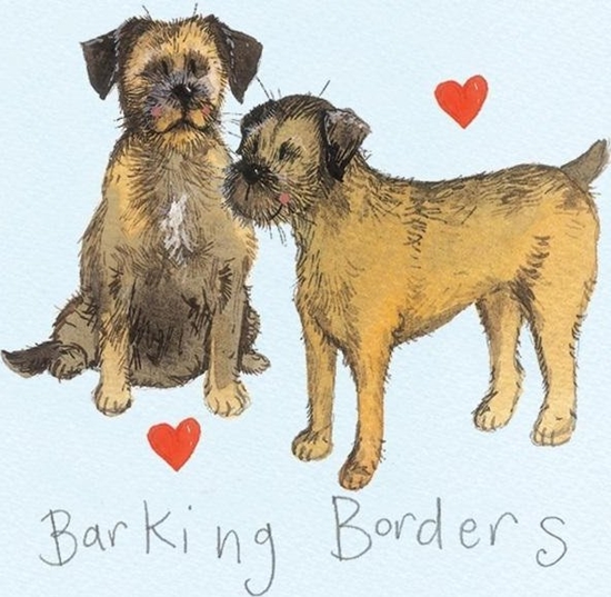 Picture of Magnes FM11 Border terrier