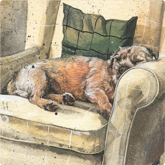 Picture of Magnes FM212 Pies Walter