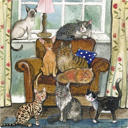 Attēls no Magnes FM213 Dom peen kotów