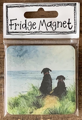 Attēls no Magnes FM222 Psy na wydmach