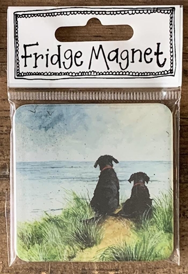 Picture of Magnes FM222 Psy na wydmach