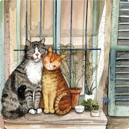 Attēls no Magnes FM226 Koty na parapecie