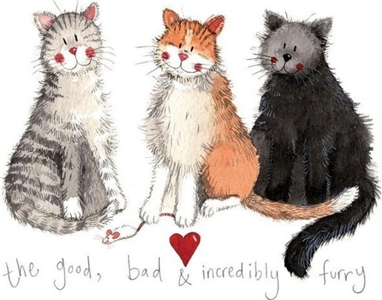 Picture of Magnes FM30 3 koty