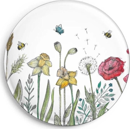 Изображение Magnes ka