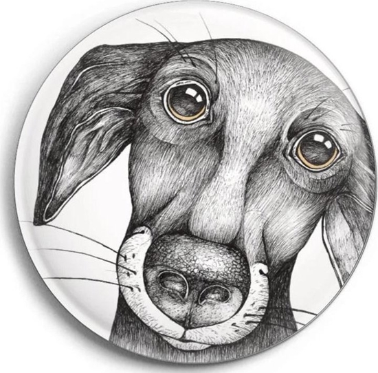 Изображение Magnes Pies Jurgen