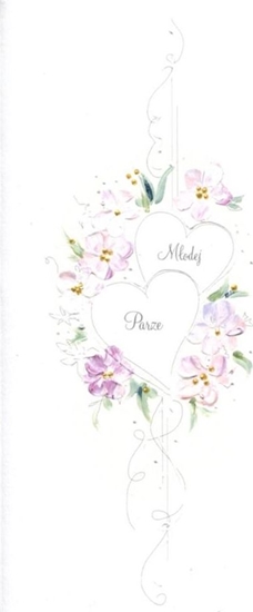 Picture of MAK Karnet lub DL S28 - Modej Parze