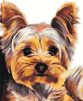 Picture of Malowanie po numerach - 30x40cm York EDUKAMP