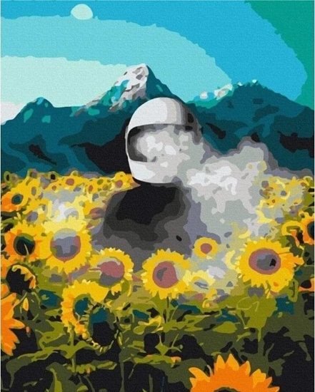 Picture of Malowanie po numerach - Kosmiczna Ziemia 40x50cm EDUKAMP