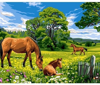 Attēls no Malowanie po numerach 40x50cm Konie na ce