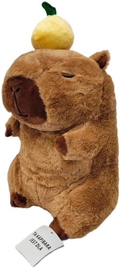 Picture of Maskotka pluszowa Kapibara z owocem 30cm