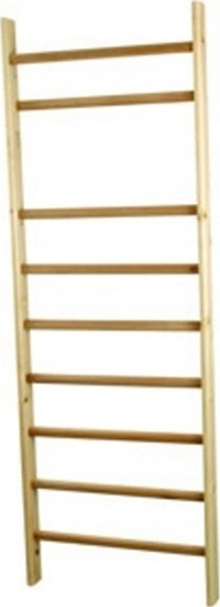 Picture of Master Drabinka Gimnastyczna do ciany MASTER 80 x 240 cm