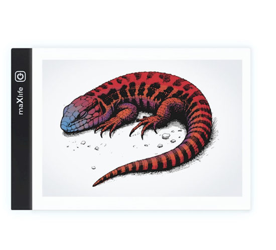 Picture of Maxlife MXGT-01 Illuminated LED board