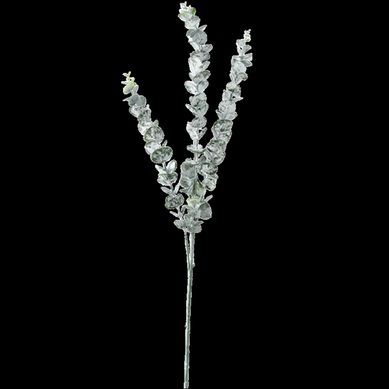 Picture of Mākslīgā Eikalipta zars 82cm, zaļš