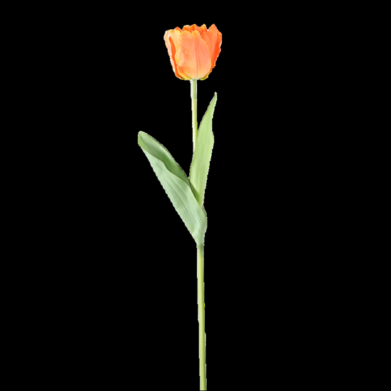 Picture of Mākslīgā Tulpe 60cm