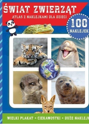 Picture of MD Creative wiat zwierzt - atlas z naklejkami dla dzieci