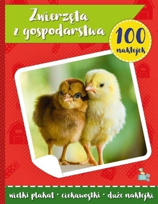 Picture of MD Creative Zwierzta z gospodarstwa z naklejkami