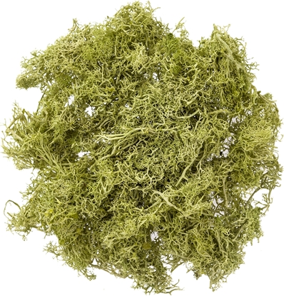 Изображение Mech jasnozielony 30g