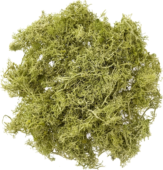 Изображение Mech jasnozielony 30g